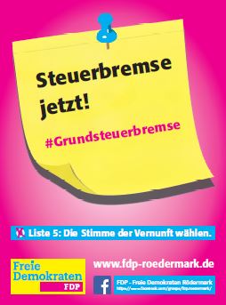 Steuerbremse